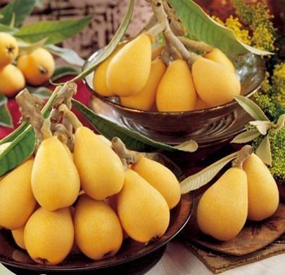 安义枇杷是江西省的特产.