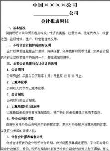会计报表附注