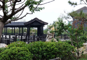 白水县