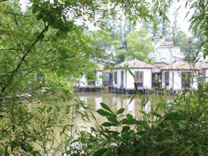 龙山生态影视基地