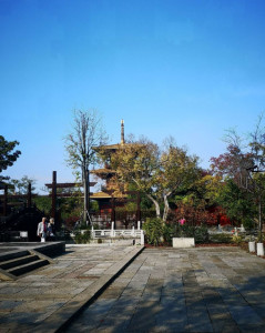 广富林古文化遗址