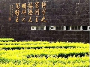 交大春色-22号楼学风墙