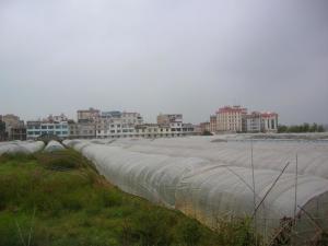 斗南社区全貌