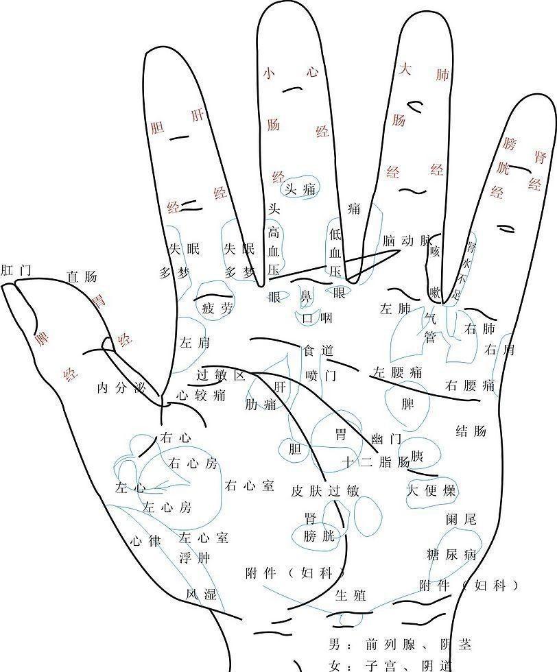 手纹