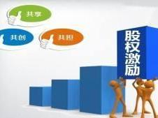 股权激励