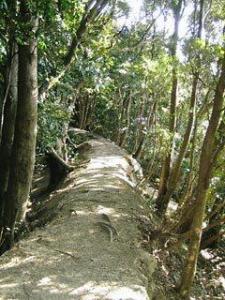 熊野参拜道大边路