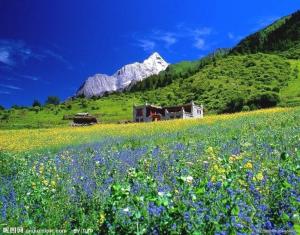 四姑娘山朝山会