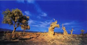 吐鲁番盆地图册