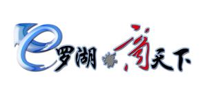 “e罗湖·商天下”主题论坛logo