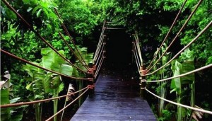 呀诺达雨林文化旅游区