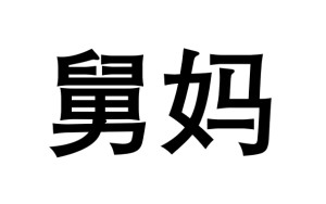 舅妈