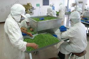 鱼城镇