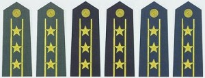 陆海空军上校常服肩章(2007-)