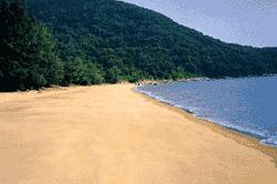 沙湾