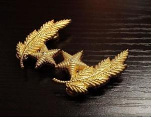 07式军服军官领花