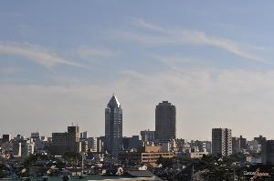 新潟县