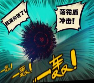 菊花盾冲击