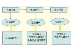 现金比率