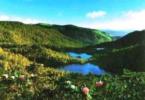 九十九龙潭风景(3)