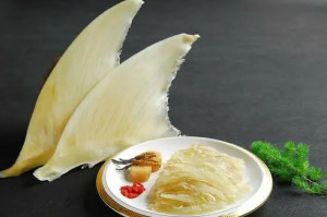 天九翅