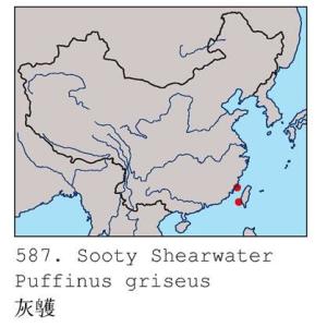 灰鹱中国分布图