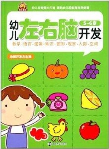 怎么样开发孩子的左右脑 300