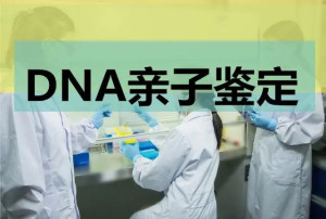 dna亲子鉴定