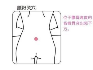 腰阳关穴