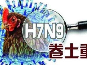 H7N9
