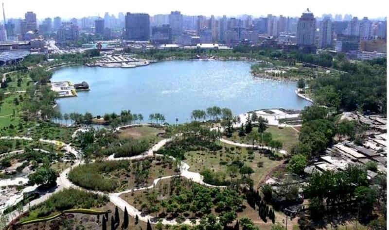 莲花池水面全景