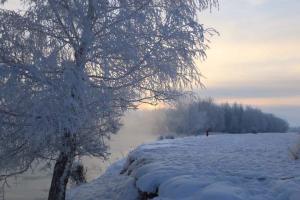 冲乎尔镇雾凇 冲乎尔镇雾凇