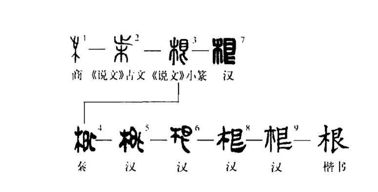 演变过程