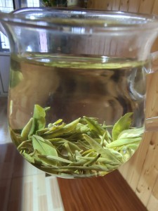崂山绿茶
