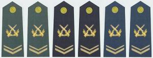 陆海空军上士军衔肩章(2009—)