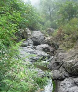 云岫谷风景