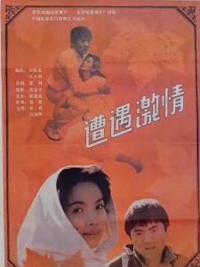 遭遇激情海报