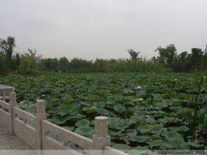 改造后
