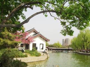 团结湖公园