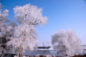 雾凇