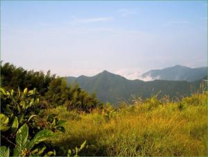 白云山森林公园