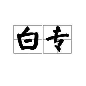 白专