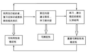 先行组织者