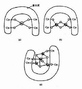 呼吸链