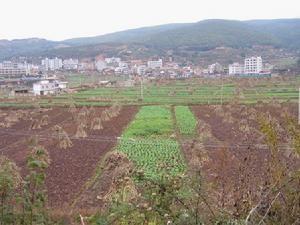 广袤耕地