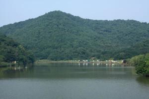 萧山区
