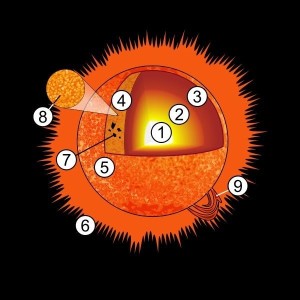 太阳结构显示出光球的米粒斑