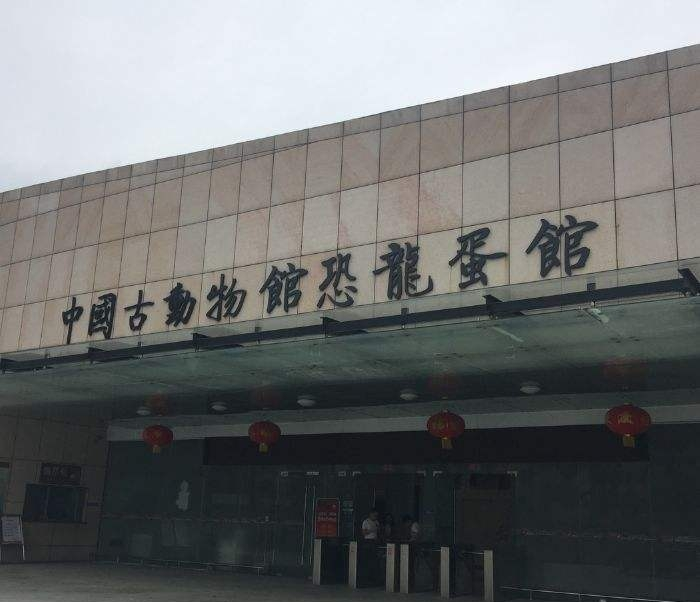 中国古动物馆恐龙蛋馆