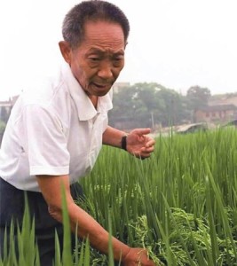 袁隆平