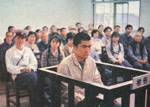 《见习律师》截图