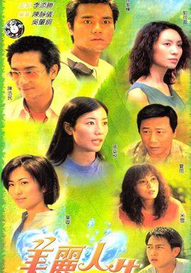 美麗人生(2001年林家棟主演tvb電視劇)